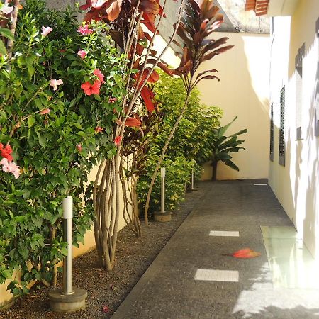 Studio Flat With Pool Funchal  Ngoại thất bức ảnh