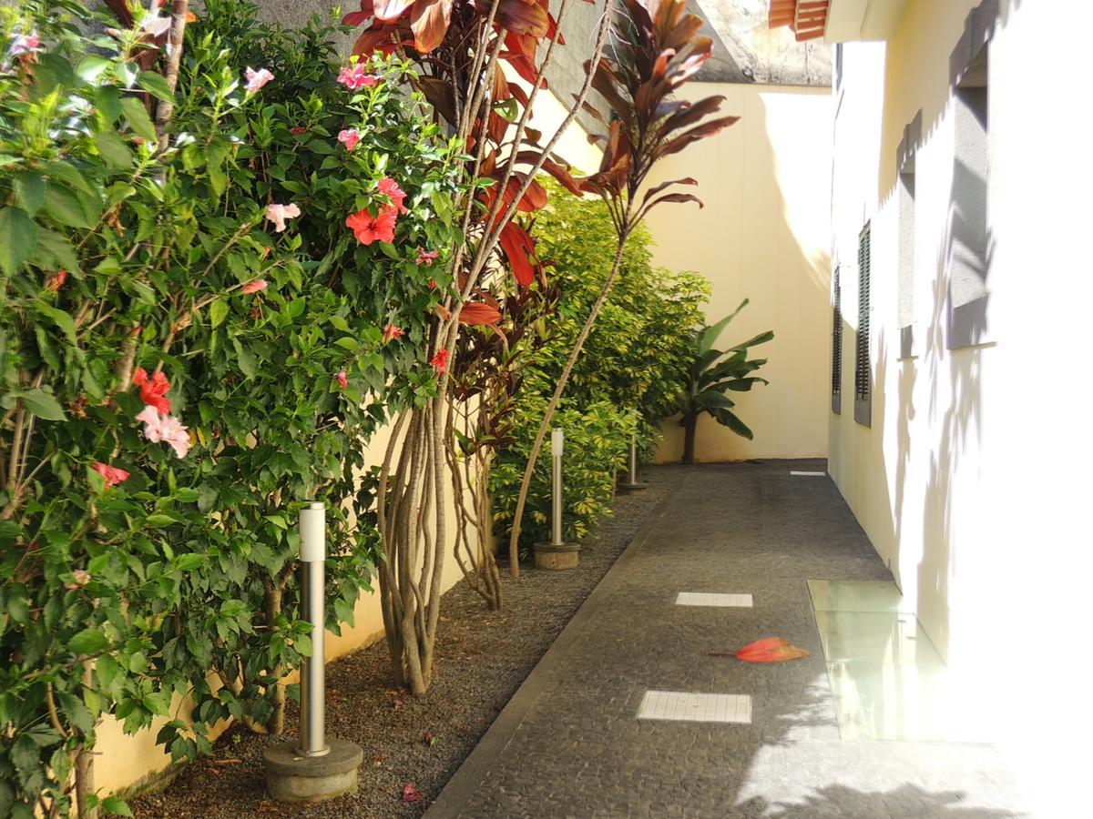Studio Flat With Pool Funchal  Ngoại thất bức ảnh